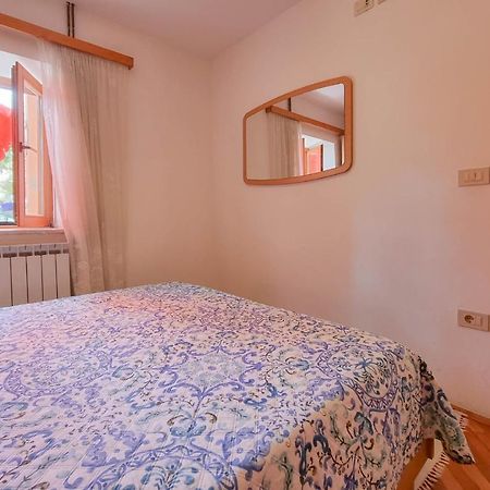 Valentino Apartment Novigrad  Ngoại thất bức ảnh