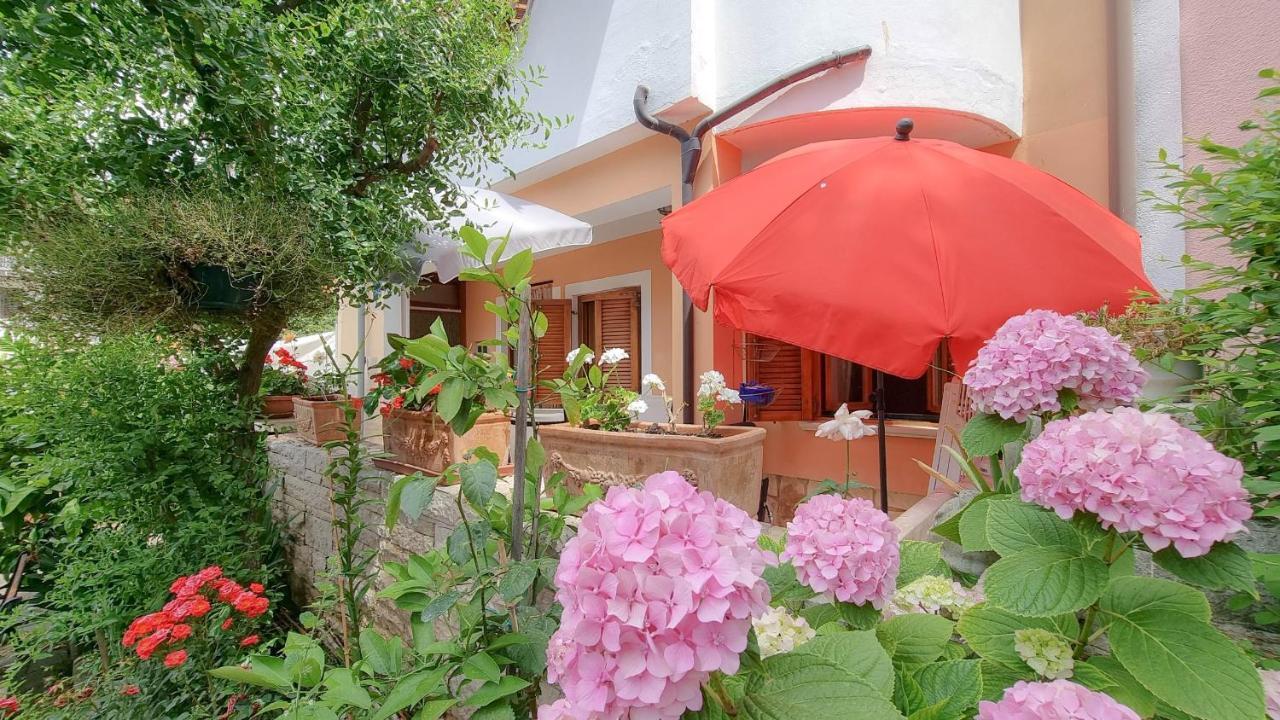 Valentino Apartment Novigrad  Ngoại thất bức ảnh